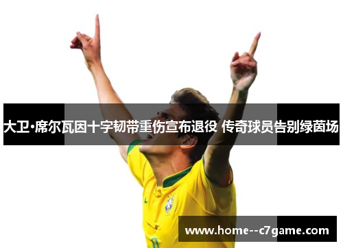 大卫·席尔瓦因十字韧带重伤宣布退役 传奇球员告别绿茵场 大卫·席尔瓦因十字韧带重伤宣布退役 传奇球员告别绿茵场